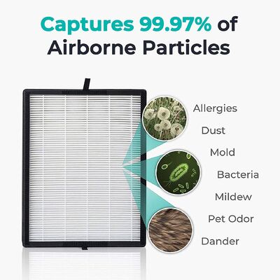 Filtro dell'aria industriale del favo di umidità/filtro carbonio attivato HEPA